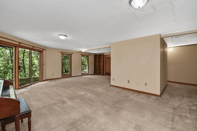 301 Woodson Rd, Branson, MO 65616 - photo 53