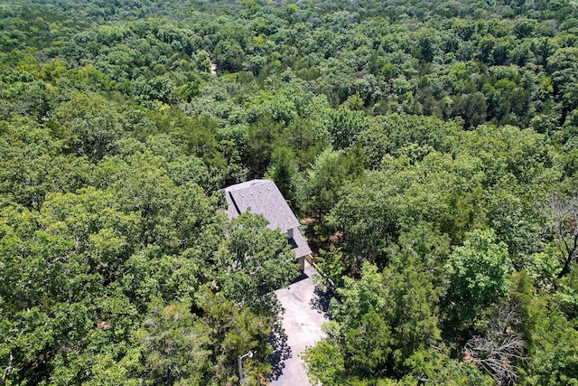 301 Woodson Rd, Branson, MO 65616 - photo 66