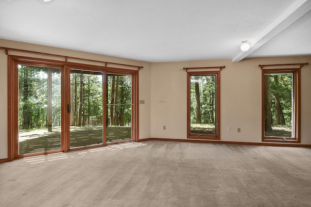 301 Woodson Rd, Branson, MO 65616 - photo 55