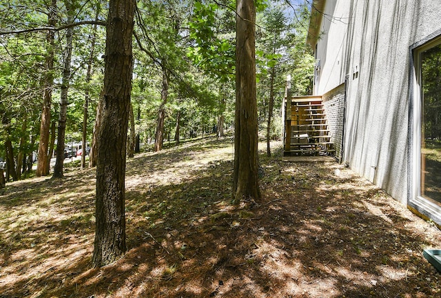 301 Woodson Rd, Branson, MO 65616 - photo 63