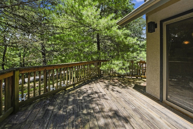 301 Woodson Rd, Branson, MO 65616 - photo 60