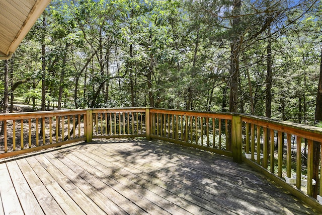 301 Woodson Rd, Branson, MO 65616 - photo 74