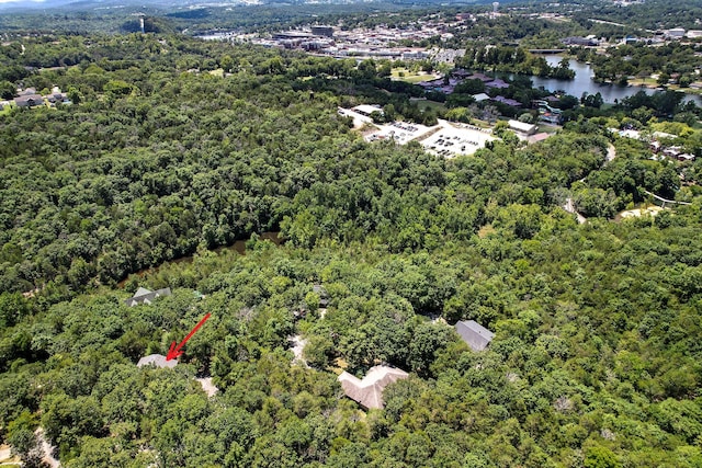 301 Woodson Rd, Branson, MO 65616 - photo 67