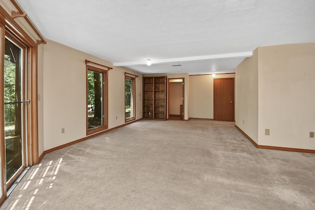 301 Woodson Rd, Branson, MO 65616 - photo 54