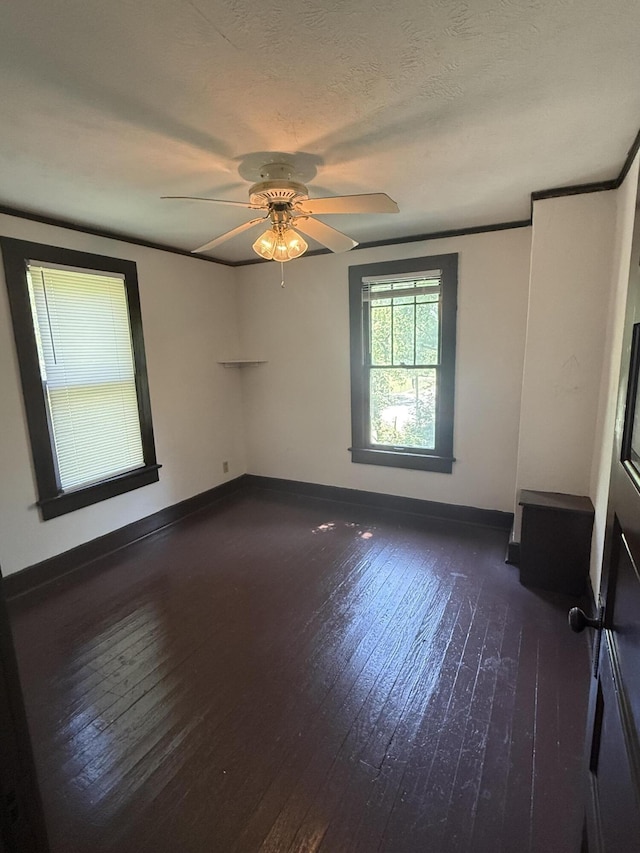 1134 N Clay Ave, Springfield, MO 65802 - photo 7