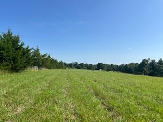 000 Harlow Rd, Summersville, MO 65571 - photo 9