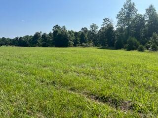 000 Harlow Rd, Summersville, MO 65571 - photo 7