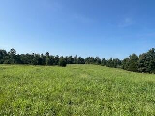 000 Harlow Rd, Summersville, MO 65571 - photo 16