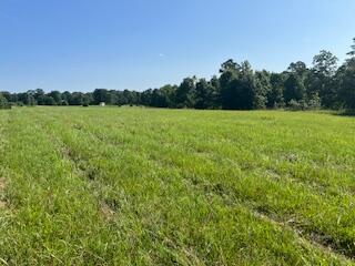 000 Harlow Rd, Summersville, MO 65571 - photo 8