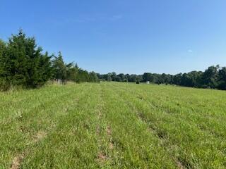 000 Harlow Rd, Summersville, MO 65571 - photo 1