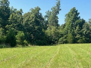 000 Harlow Rd, Summersville, MO 65571 - photo 10