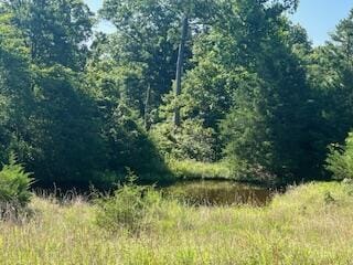 000 Harlow Rd, Summersville, MO 65571 - photo 3