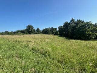 000 Harlow Rd, Summersville, MO 65571 - photo 15