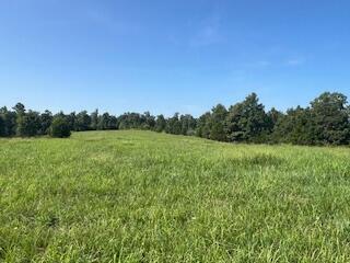 000 Harlow Rd, Summersville, MO 65571 - photo 2