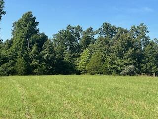 000 Harlow Rd, Summersville, MO 65571 - photo 12