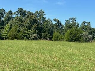 000 Harlow Rd, Summersville, MO 65571 - photo 13