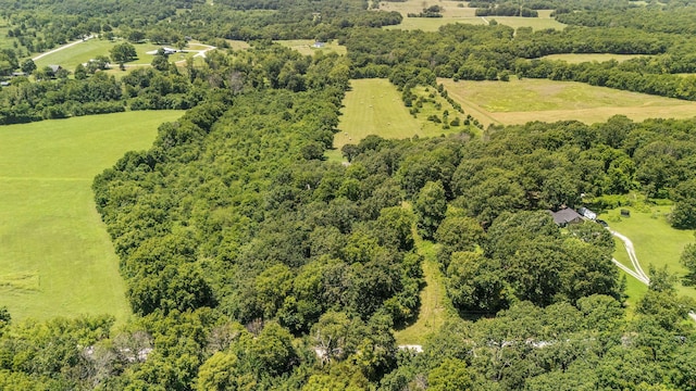 5303 N Farm Rd 75, Willard, MO 65781 - photo 31