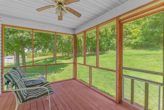 5303 N Farm Rd 75, Willard, MO 65781 - photo 19