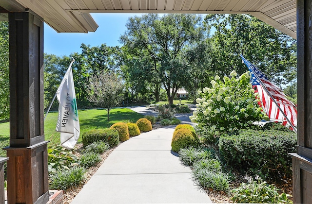 715 Goldenrod Rd, Ozark, MO 65721 - photo 4