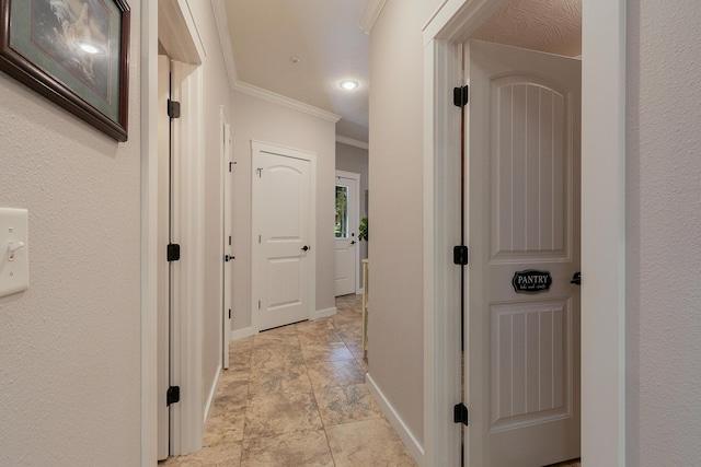 715 Goldenrod Rd, Ozark, MO 65721 - photo 24