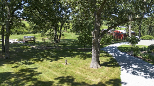 715 Goldenrod Rd, Ozark, MO 65721 - photo 63