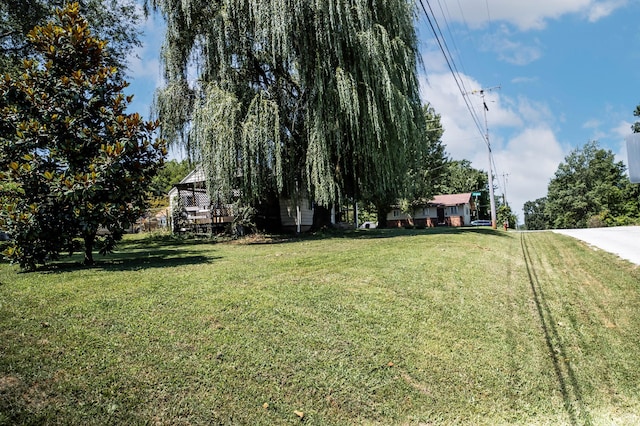 228 E Bedford St, Marshfield, MO 65706 - photo 9