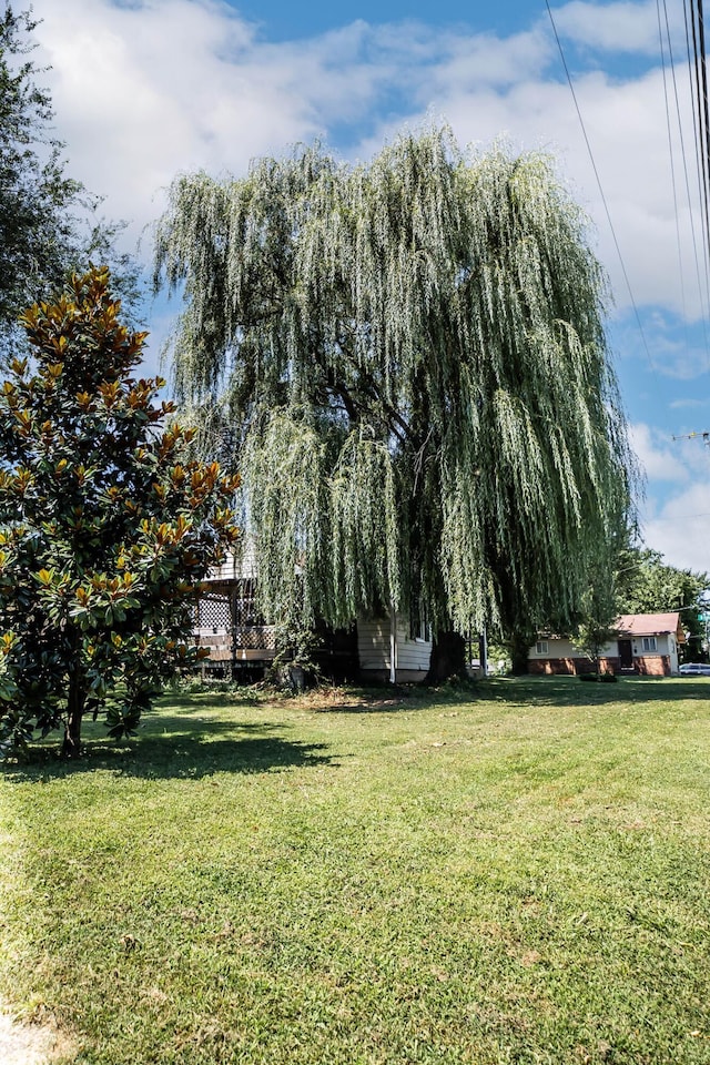 228 E Bedford St, Marshfield, MO 65706 - photo 7