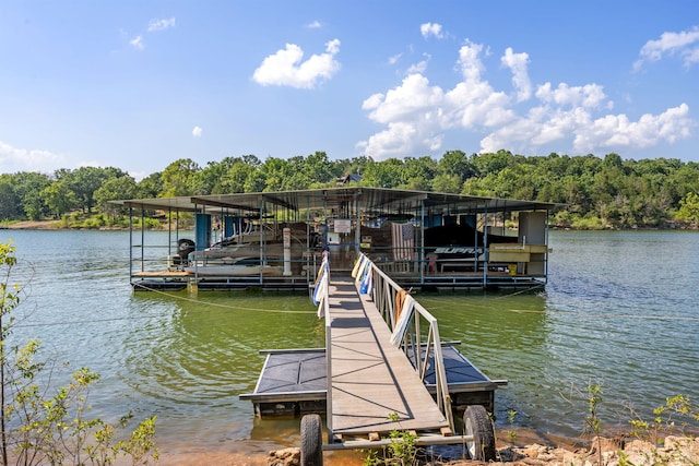 84 Starbright Ln, Reeds Spring, MO 65737 - photo 55