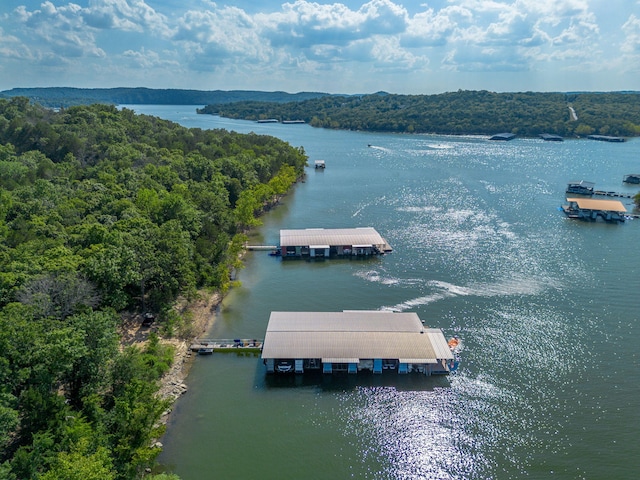 84 Starbright Ln, Reeds Spring, MO 65737 - photo 76