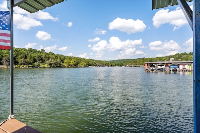 84 Starbright Ln, Reeds Spring, MO 65737 - photo 69