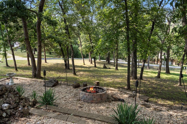 84 Starbright Ln, Reeds Spring, MO 65737 - photo 6
