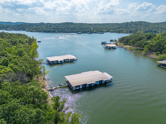 84 Starbright Ln, Reeds Spring, MO 65737 - photo 54