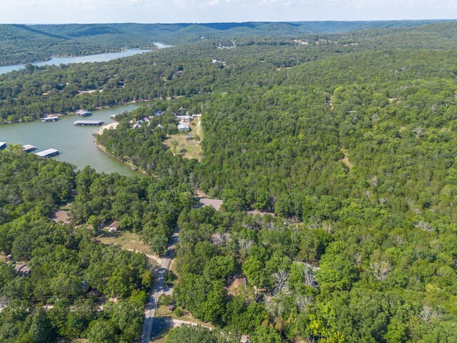 84 Starbright Ln, Reeds Spring, MO 65737 - photo 83