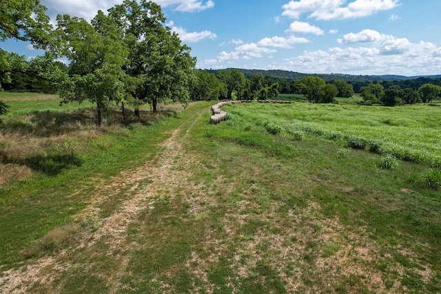 4091 Flat Creek Rd, Cape Fair, MO 65624 - photo 12