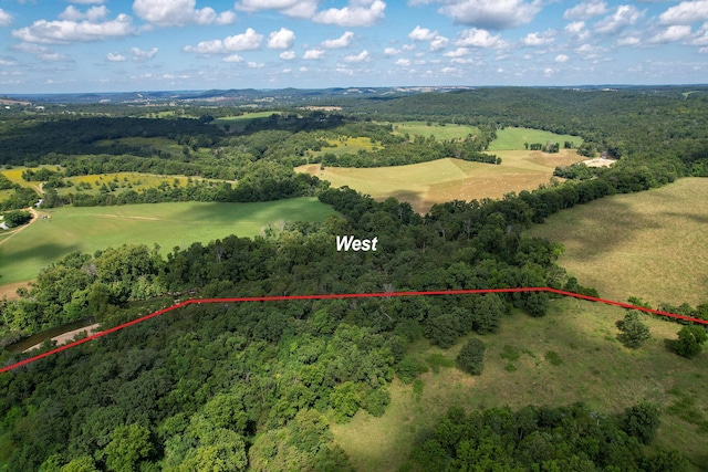4091 Flat Creek Rd, Cape Fair, MO 65624 - photo 6