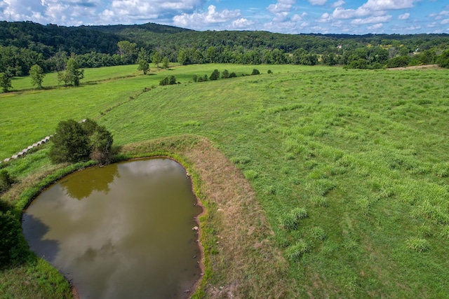 4091 Flat Creek Rd, Cape Fair, MO 65624 - photo 11