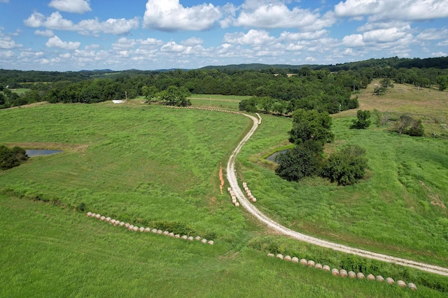 4091 Flat Creek Rd, Cape Fair, MO 65624 - photo 20