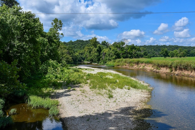 4091 Flat Creek Rd, Cape Fair, MO 65624 - photo 29