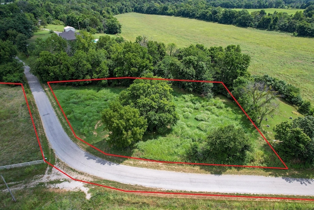 4091 Flat Creek Rd, Cape Fair, MO 65624 - photo 27