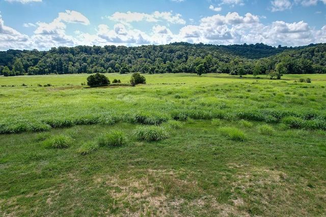 4091 Flat Creek Rd, Cape Fair, MO 65624 - photo 13