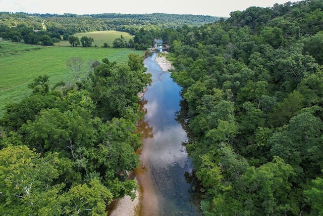 4091 Flat Creek Rd, Cape Fair, MO 65624 - photo 17
