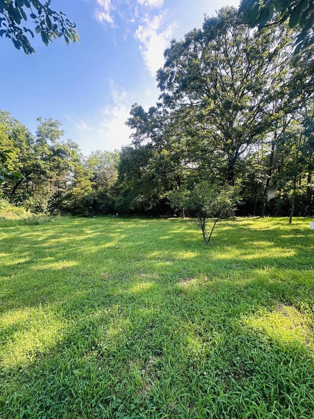 1133 E 318th Rd, Flemington, MO 65650 - photo 48