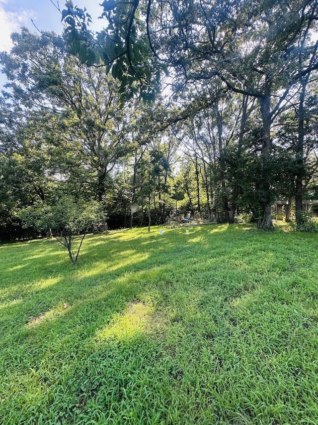 1133 E 318th Rd, Flemington, MO 65650 - photo 49