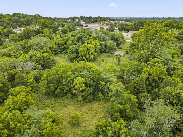 285 Mount Branson Dr, Branson, MO 65616 - photo 3