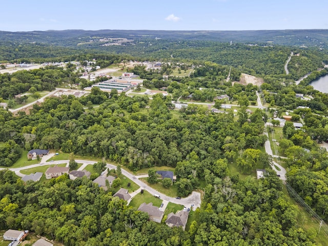 285 Mount Branson Dr, Branson, MO 65616 - photo 11