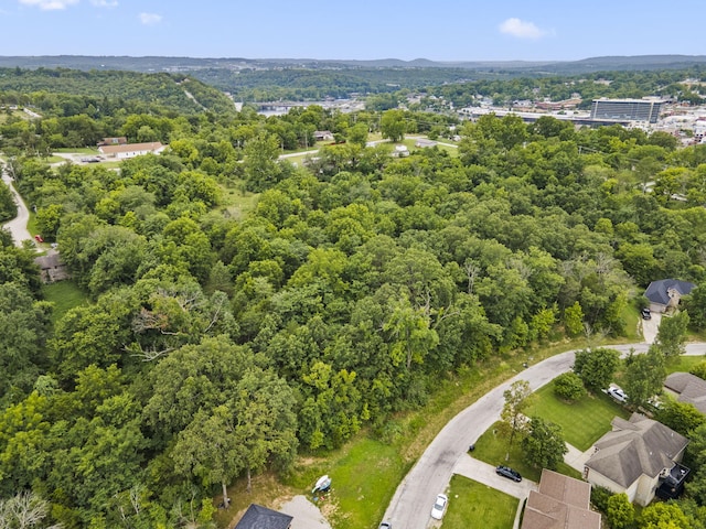 285 Mount Branson Dr, Branson, MO 65616 - photo 7