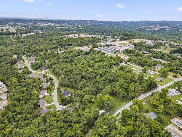 285 Mount Branson Dr, Branson, MO 65616 - photo 13