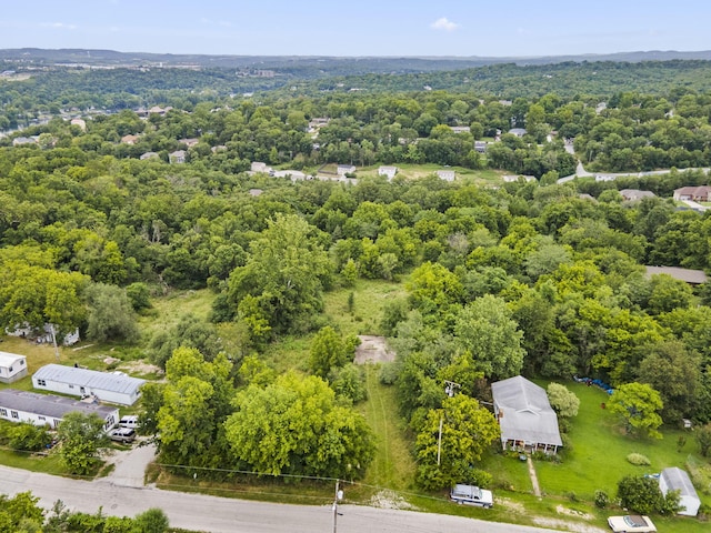 285 Mount Branson Dr, Branson, MO 65616 - photo 6