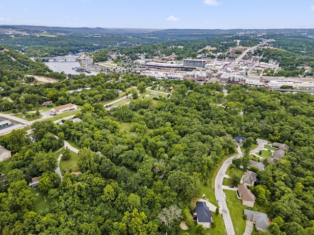 285 Mount Branson Dr, Branson, MO 65616 - photo 10