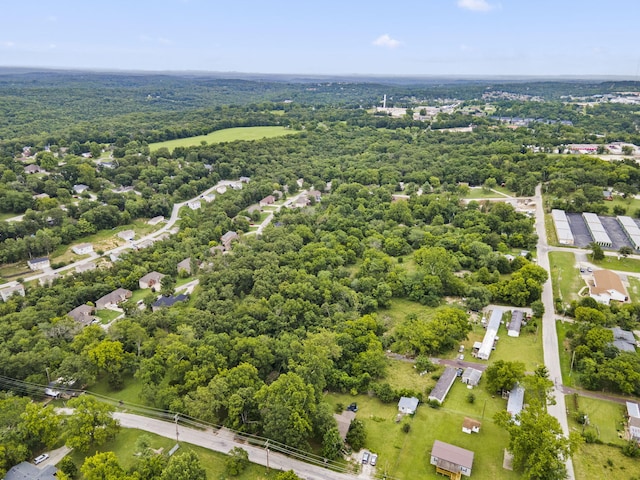 285 Mount Branson Dr, Branson, MO 65616 - photo 12